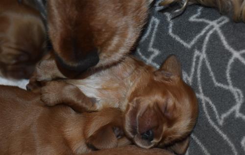 vecka 2 (3) vecka 2 (3)