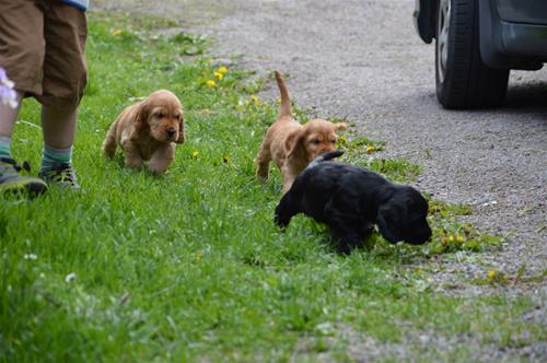 DSC_0271 DSC_0271