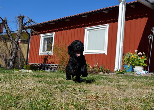 _DSC0438 _DSC0438