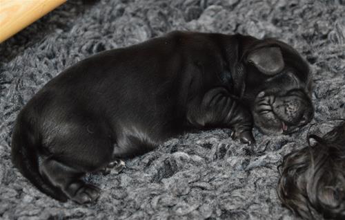 DSC_0196 DSC_0196