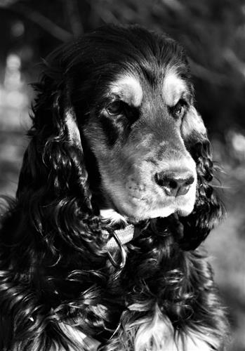 DSC_0080 DSC_0080