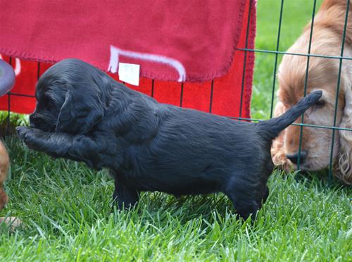 DSC_0023 DSC_0023