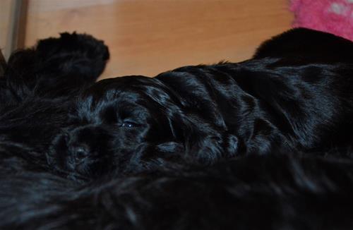 _DSC0078 _DSC0078