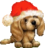 hund5