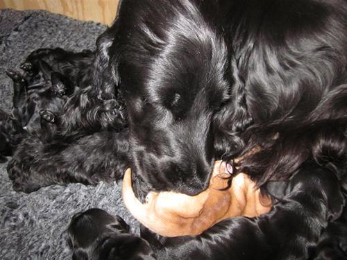 IMG_0177 IMG_0177