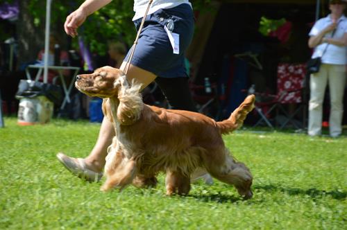 DSC_0186 DSC_0186