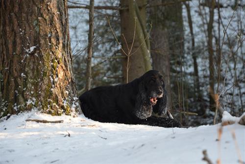 DSC_0011 DSC_0011