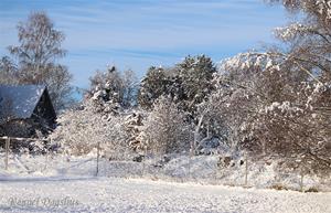 Snö 20210115