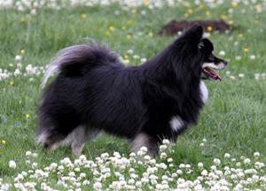 Annie20100714