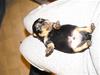 2010_0211o-kullen0024
