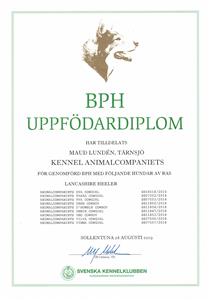 BPH Uppfödardiplom 2019