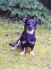 elli,bisc,ebba 013
