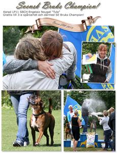 engelaiz-nyheter-tula-2013 engelaiz-nyheter-tula-2013