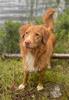 Zoe_220821_1