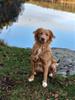 IMG_20211015_165343_Bokeh