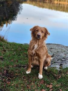 IMG_20211015_165343_Bokeh IMG_20211015_165343_Bokeh
