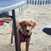 IMG_20180719_204113_438