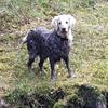 IMG_20180528_120909_261