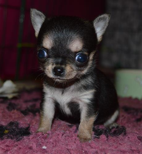 DSC_0011 DSC_0011