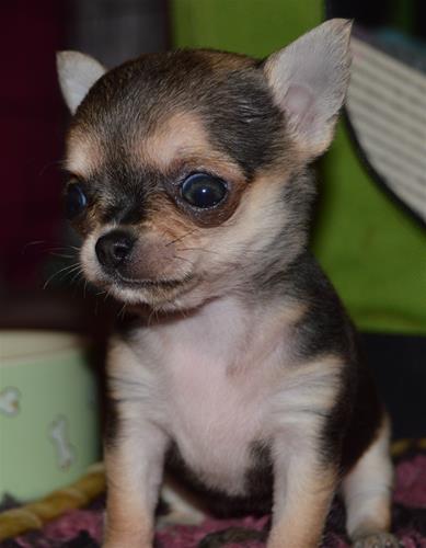 DSC_0116 DSC_0116