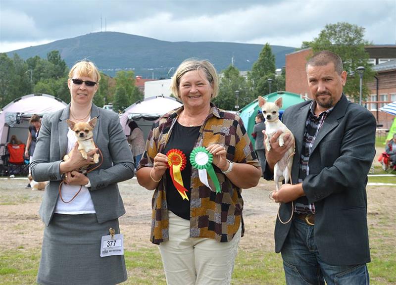 BIR & BIM Gällivare 2013