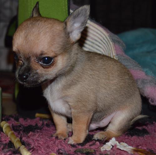 DSC_0012 DSC_0012