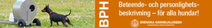 BPH-annons BPH-annons