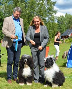  Parklass Cia Storhulte, Storhulte's Arwen, Storhulte's Aragorn