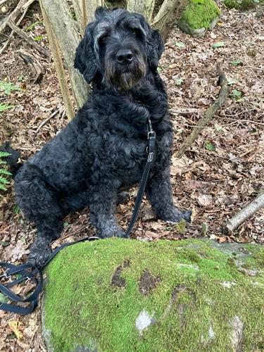 e9bc92ac-0335-4c10-9677-59f45bb1c50e