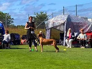 FB_IMG_1657637591018