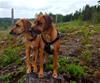 thumbnail_20200622_221656