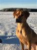 FB_IMG_1513768793313