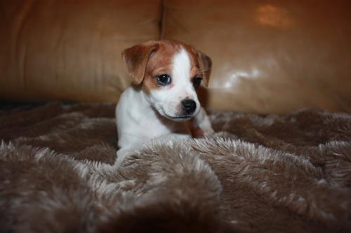 IMG_8676 IMG_8676