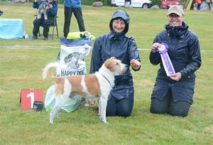 DSC_6436 DSC_6436