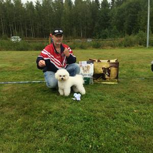 14182120_10154537196277474_939615519_n 14182120_10154537196277474_939615519_n