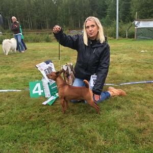 14193846_10154537189142474_938536214_n 14193846_10154537189142474_938536214_n