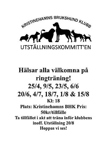 17862649_10155284622412474_1645655107607942424_n 17862649_10155284622412474_1645655107607942424_n