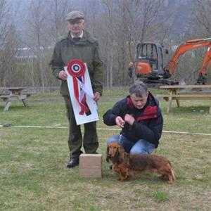 Best in show 28.04.12