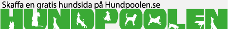 Skapa gratis hemsida på Hundpoolen.se