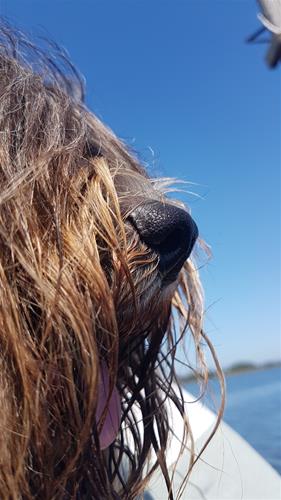 20190724_125727