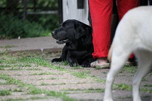 IMG_2670 IMG_2670