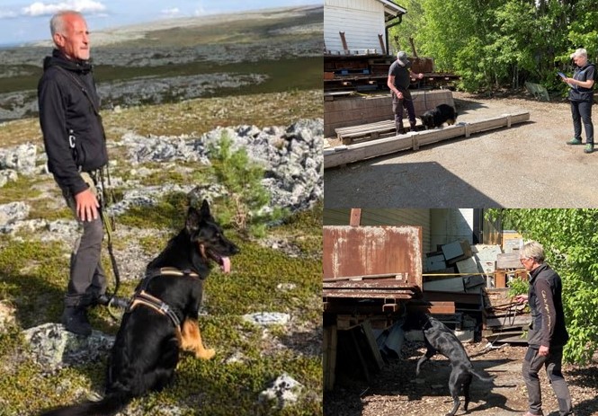 Mats Provledare 3 juni 2023 - till hemsidan