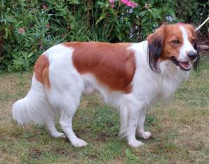 mamas best friend tjalle chedddar 2