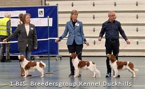 breedersgroup Duckhills 1-txt