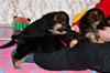 photocama_230311_9958