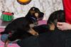 photocama_230311_9959