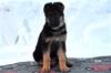 photocama_230303_xilla9v_9699
