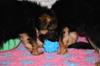 photocama_230311_9993