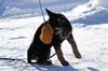 photocama_230311_9910