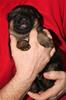 photocama_3_230216_9480